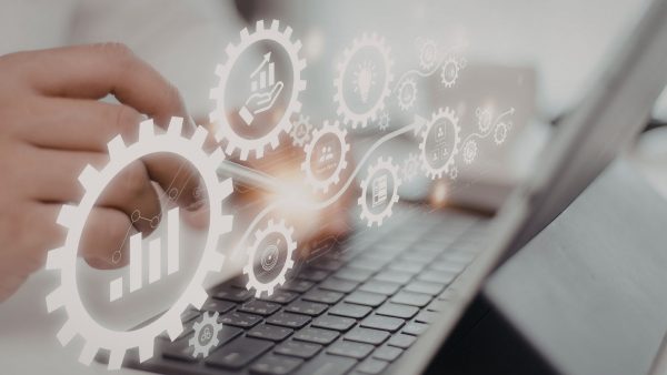 Information Technology Roles